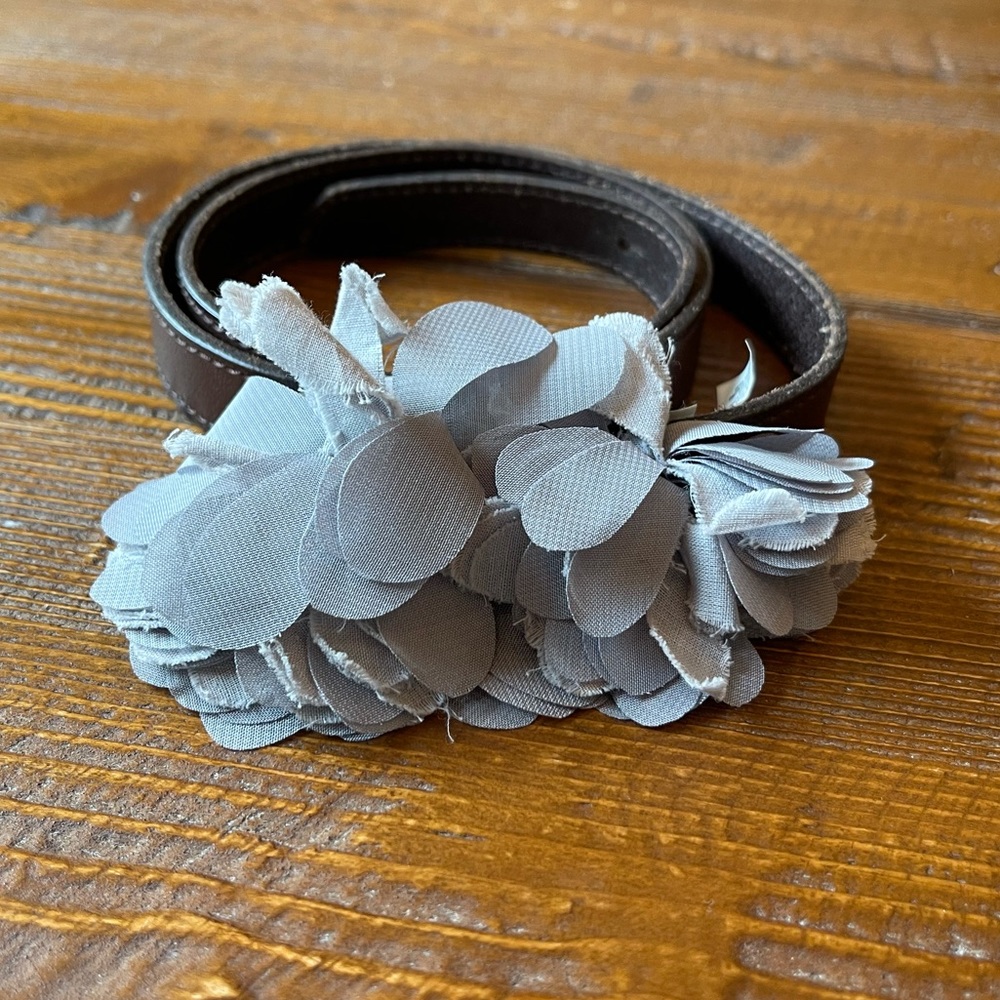 Hollister Belt
